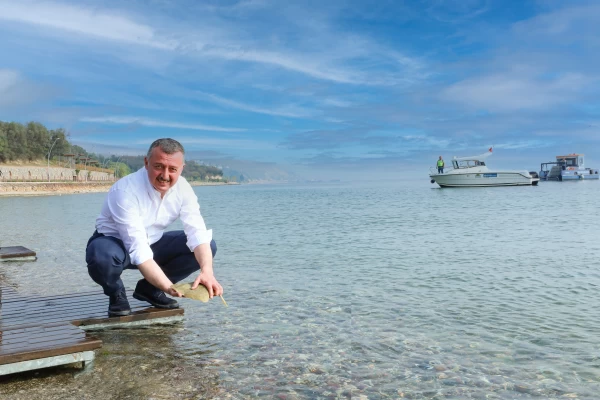 İzmit Körfezi Balıklandırma