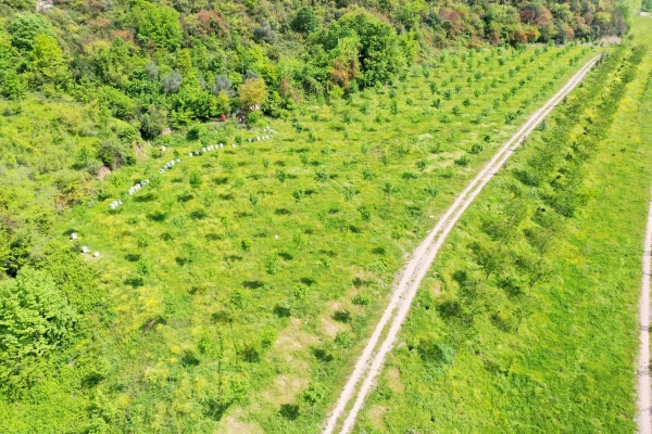 Paşadağ Döküm Park