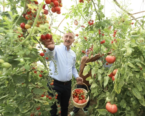 Permakültür ve Organik Tarımı Desteği