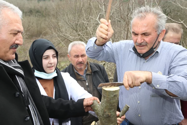 Meyve Fidanı Desteği